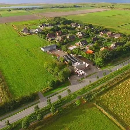 Steifebrise * Ockholm